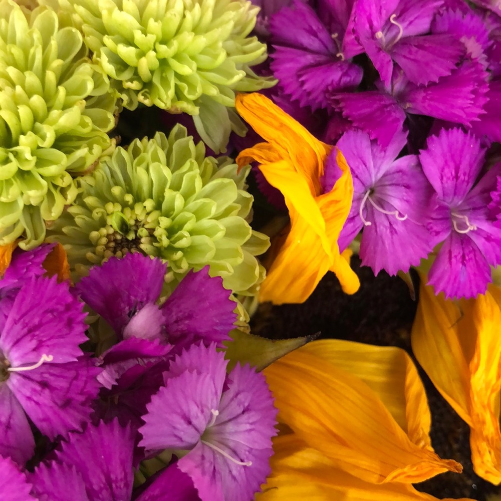 Meet your Posher, Annie